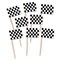 Party Central Club Pack of 12 Black and White Checkered Racing Flag Food or Drink Decoration Party Picks 2.5"